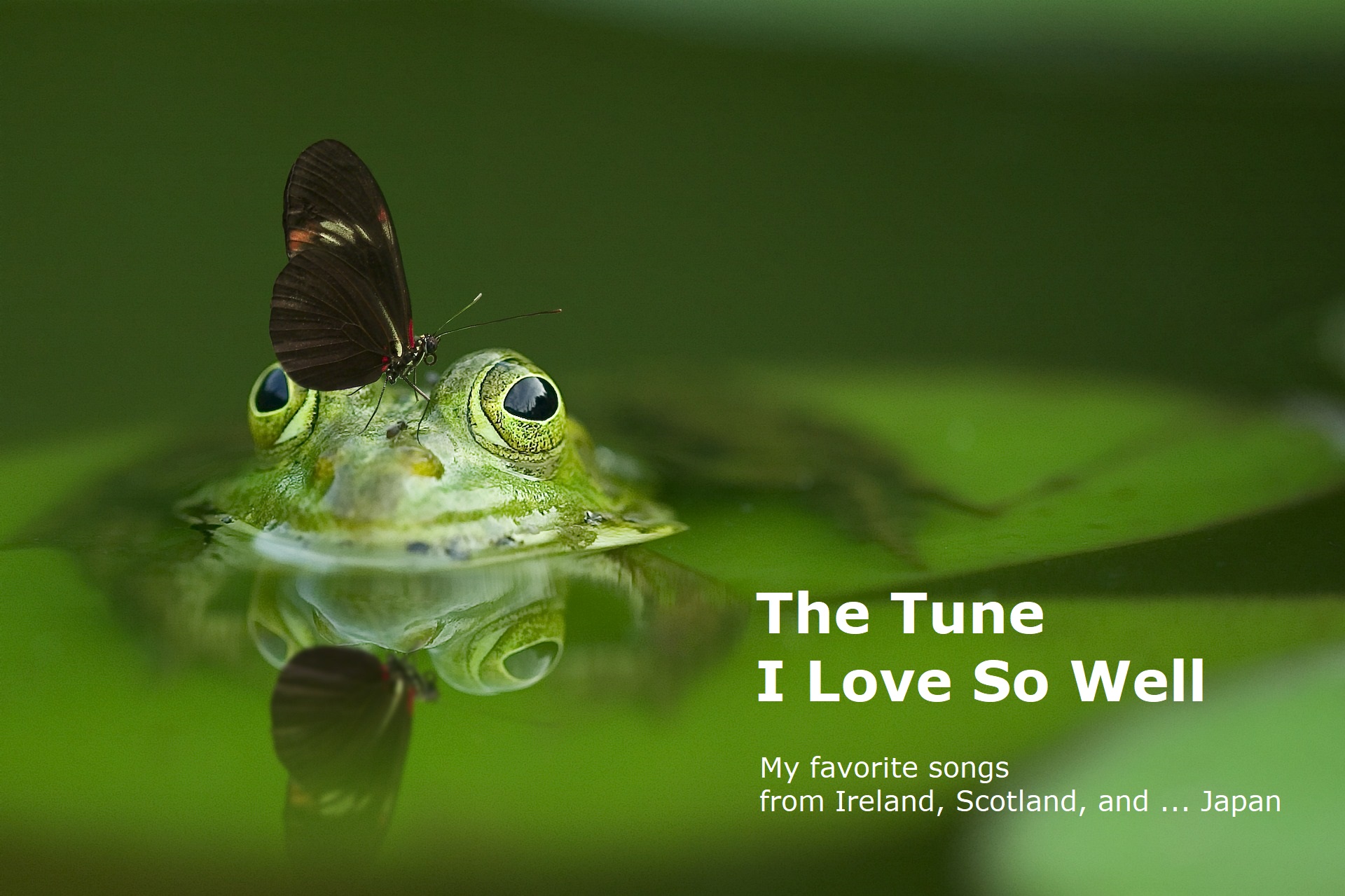 2014-4-29-the-tune-i-love-so-well